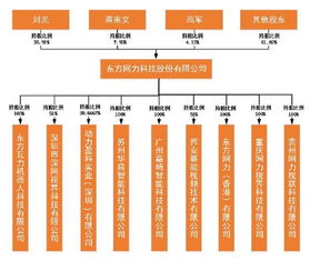 東方網(wǎng)力科技股份2015年年度報告摘要 聚焦信息網(wǎng)絡(luò)經(jīng)營的戰(zhàn)略布局與成果