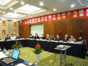 交直流輸電污穢外絕緣特性研究與防污閃技術(shù)提升工程應(yīng)用項目技術(shù)鑒定會圓滿召開