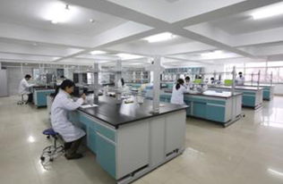 武漢維斯?fàn)柭?以綜合資源優(yōu)勢引領(lǐng)生物工程技術(shù)服務(wù)新篇章